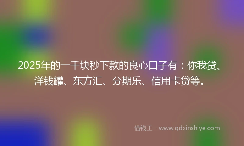 2025年的一千块秒下款的良心口子有：你我贷、洋钱罐、东方汇、分期乐、信用卡贷等。