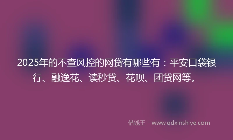 2025年的不查风控的网贷有哪些有：平安口袋银行、融逸花、读秒贷、花呗、团贷网等。