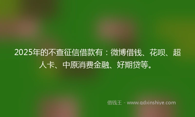2025年的不查征信借款有:微博借钱、花呗、超人卡、中原消费金融、好期贷等。