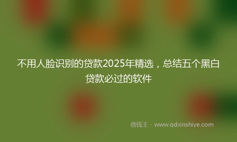 不用人脸识别的贷款2025年精选，总结五个黑白贷款必过的软件
