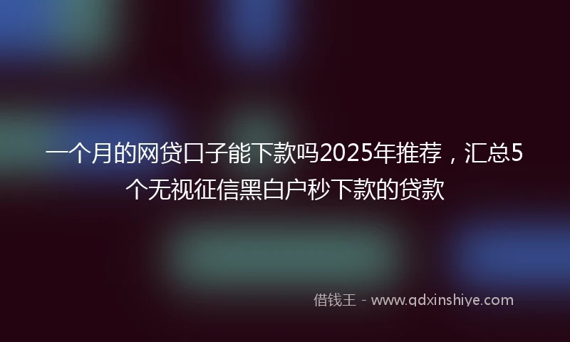 一个月的网贷口子能下款吗2025年推荐，汇总5个无视征信黑白户秒下款的贷款