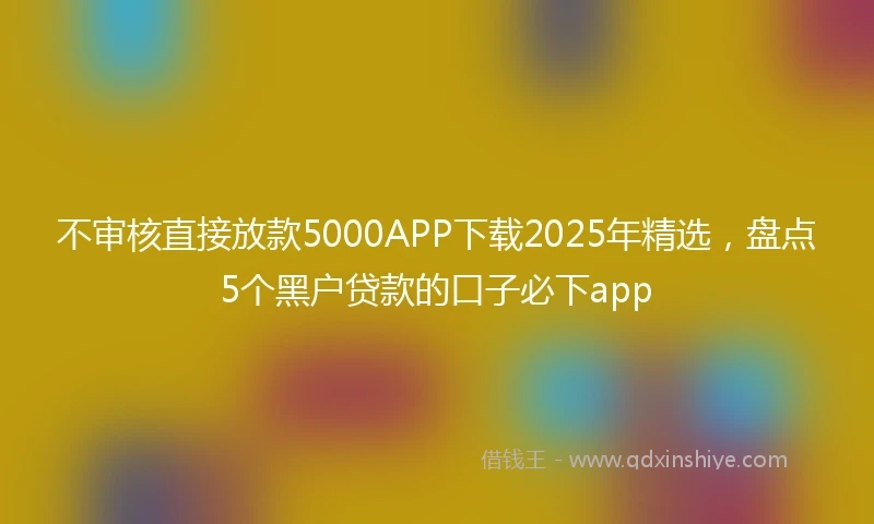 不审核直接放款5000APP下载2025年精选，盘点5个黑户贷款的口子必下app