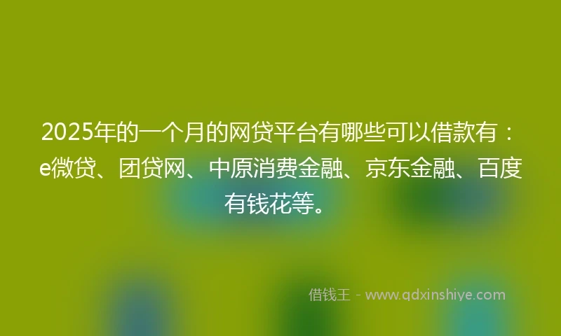 2025年的一个月的网贷平台有哪些可以借款有：e微贷、团贷网、中原消费金融、京东金融、百度有钱花等。
