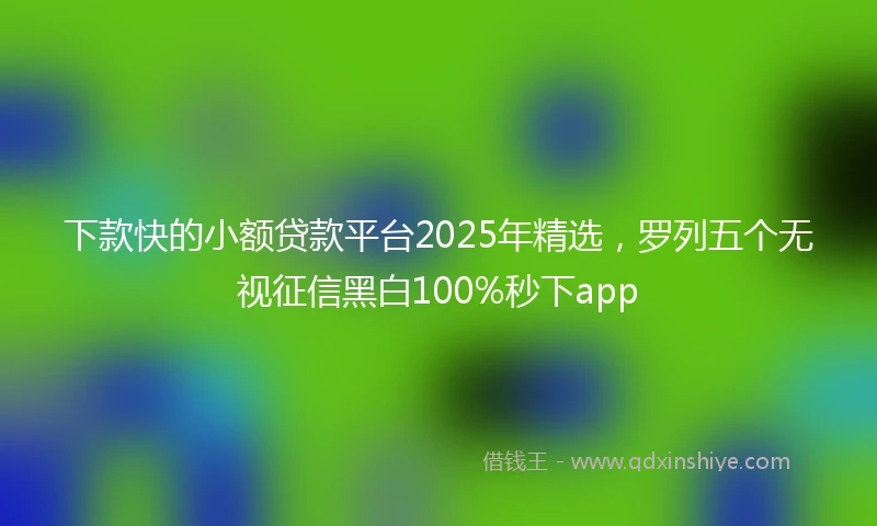 下款快的小额贷款平台2025年精选，罗列五个无视征信黑白100%秒下app
