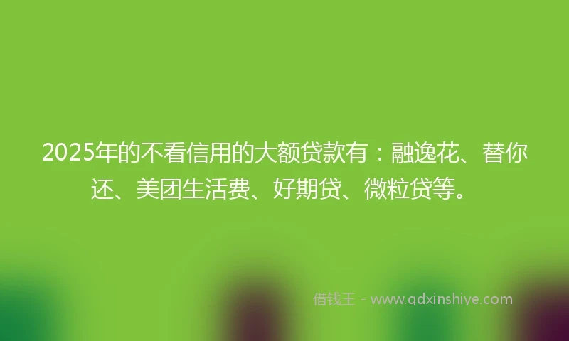 2025年的不看信用的大额贷款有：融逸花、替你还、美团生活费、好期贷、微粒贷等。