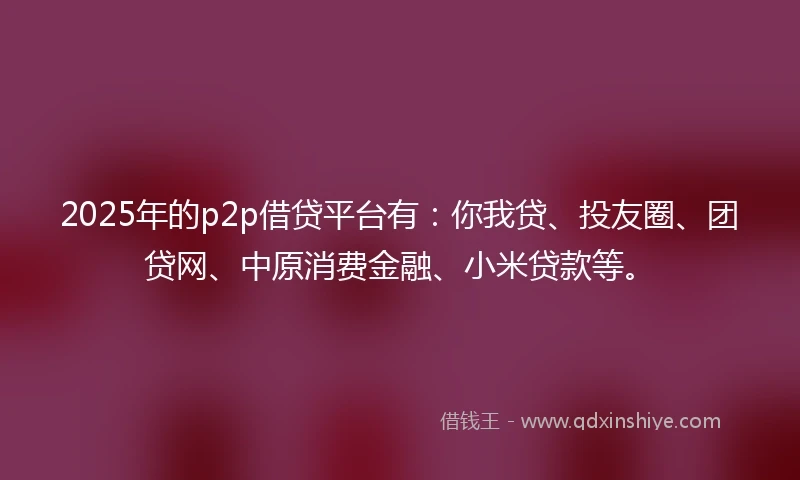 2025年的p2p借贷平台有：你我贷、投友圈、团贷网、中原消费金融、小米贷款等。