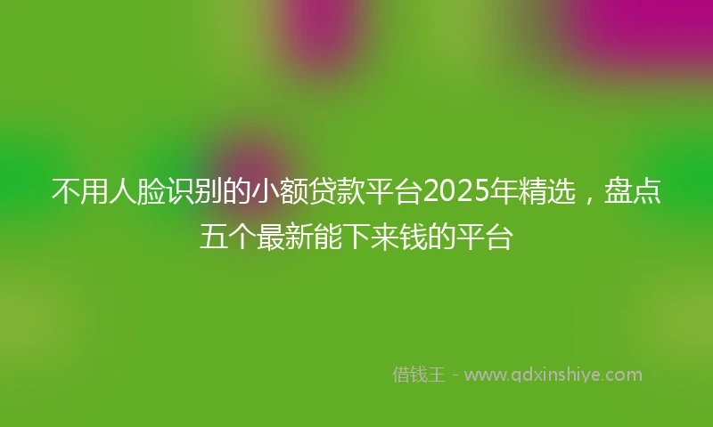 不用人脸识别的小额贷款平台2025年精选，盘点五个最新能下来钱的平台