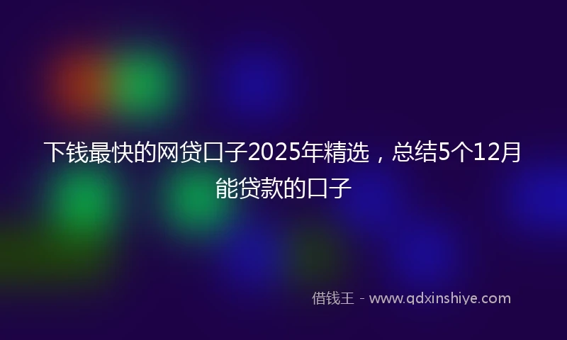 下钱最快的网贷口子2025年精选，总结5个12月能贷款的口子