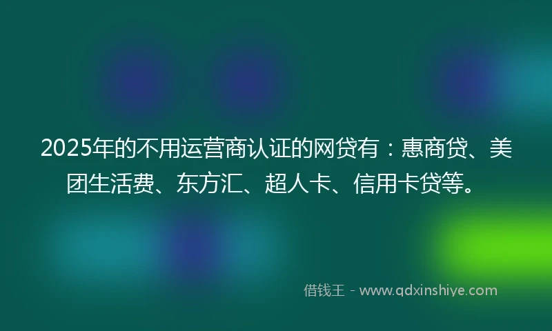 2025年的不用运营商认证的网贷有：惠商贷、美团生活费、东方汇、超人卡、信用卡贷等。