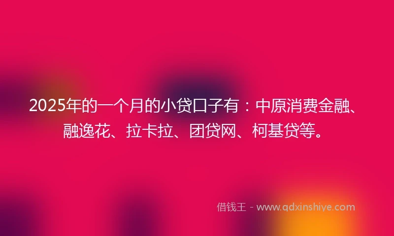 2025年的一个月的小贷口子有：中原消费金融、融逸花、拉卡拉、团贷网、柯基贷等。