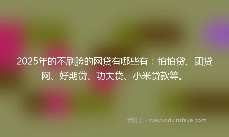 2025年的不刷脸的网贷有哪些有：拍拍贷、团贷网、好期贷、功夫贷、小米贷款等。