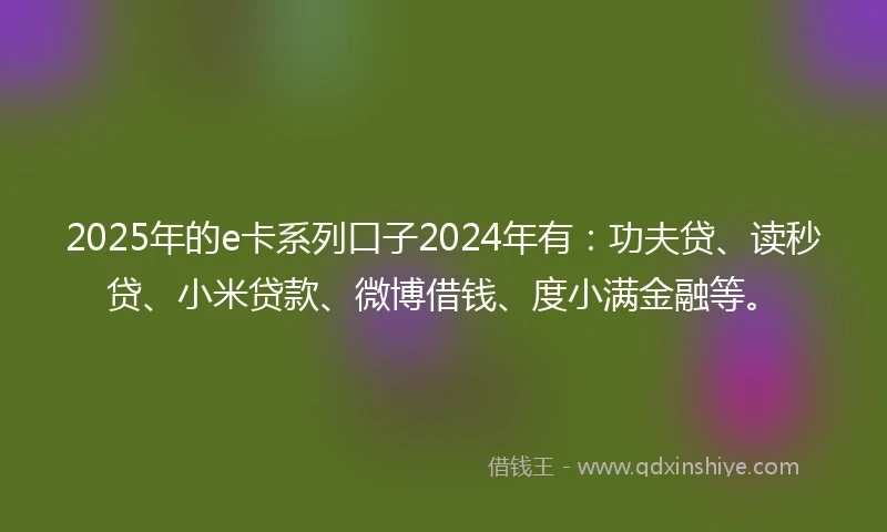 2025年的e卡系列口子2024年有：功夫贷、读秒贷、小米贷款、微博借钱、度小满金融等。