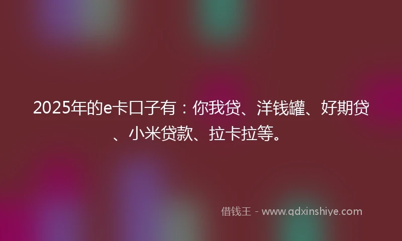 2025年的e卡口子有：你我贷、洋钱罐、好期贷、小米贷款、拉卡拉等。