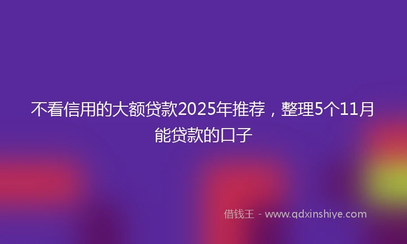 不看信用的大额贷款2025年推荐，整理5个11月能贷款的口子