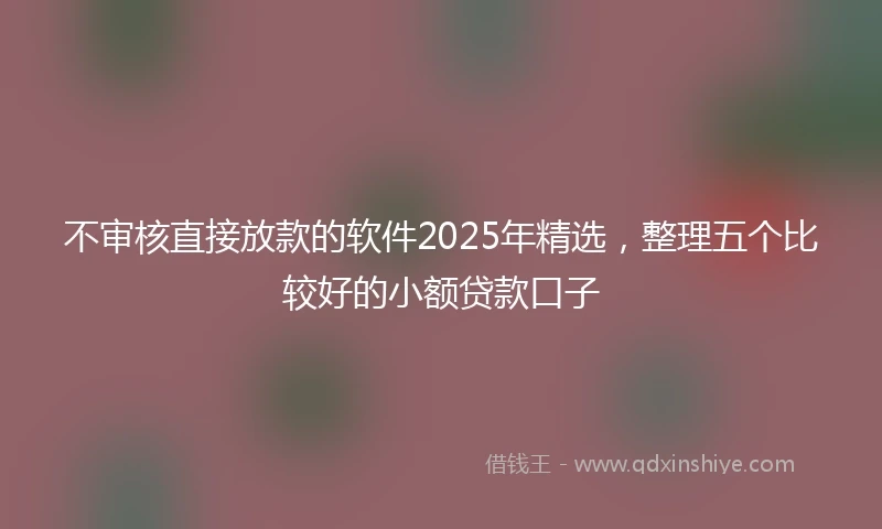 不审核直接放款的软件2025年精选，整理五个比较好的小额贷款口子