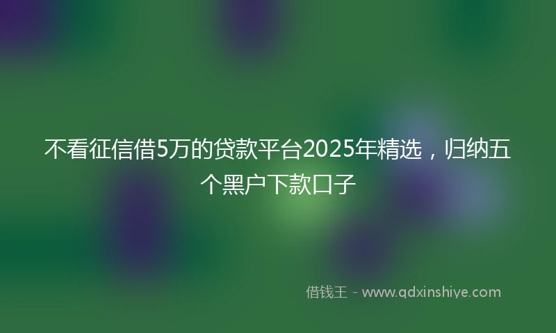 不看征信借5万的贷款平台2025年精选，归纳五个黑户下款口子