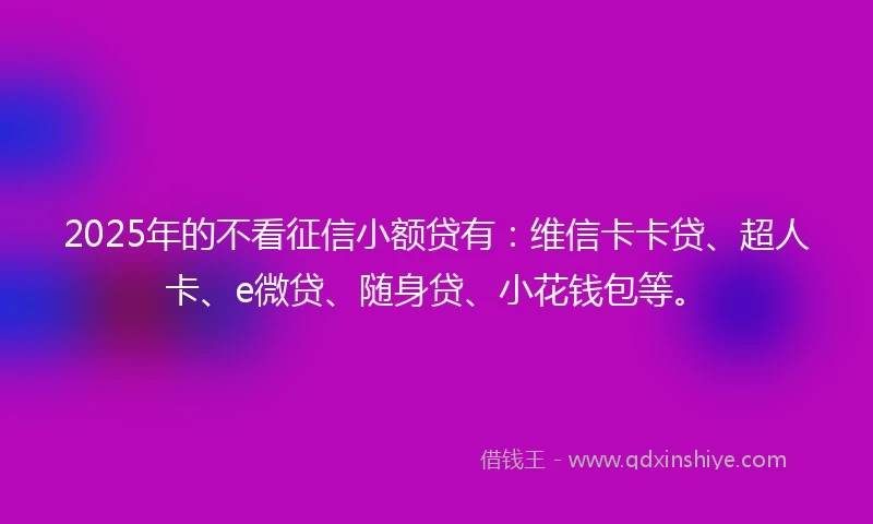 2025年的不看征信小额贷有：维信卡卡贷、超人卡、e微贷、随身贷、小花钱包等。