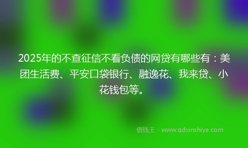 2025年的不查征信不看负债的网贷有哪些有：美团生活费、平安口袋银行、融逸花、我来贷、小花钱包等。