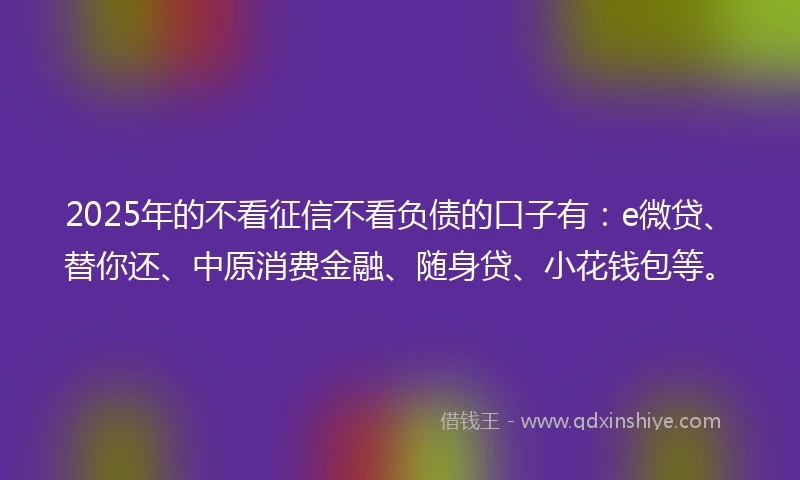 2025年的不看征信不看负债的口子有：e微贷、替你还、中原消费金融、随身贷、小花钱包等。