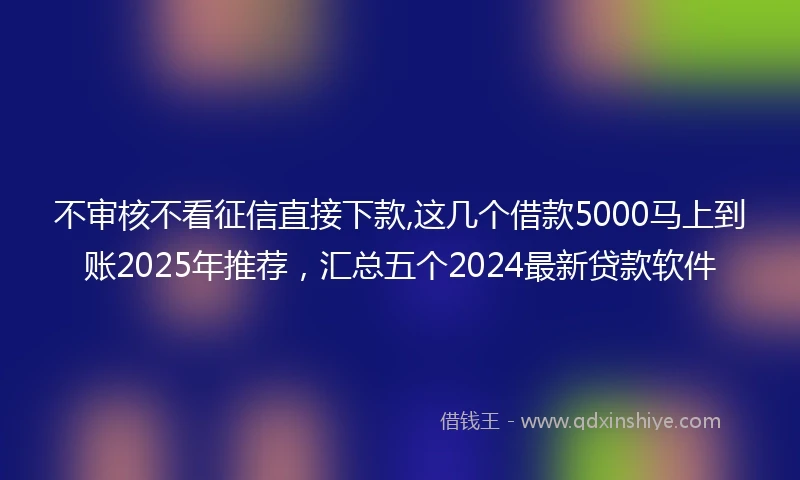 不审核不看征信直接下款,这几个借款5000马上到账2025年推荐，汇总五个2024最新贷款软件