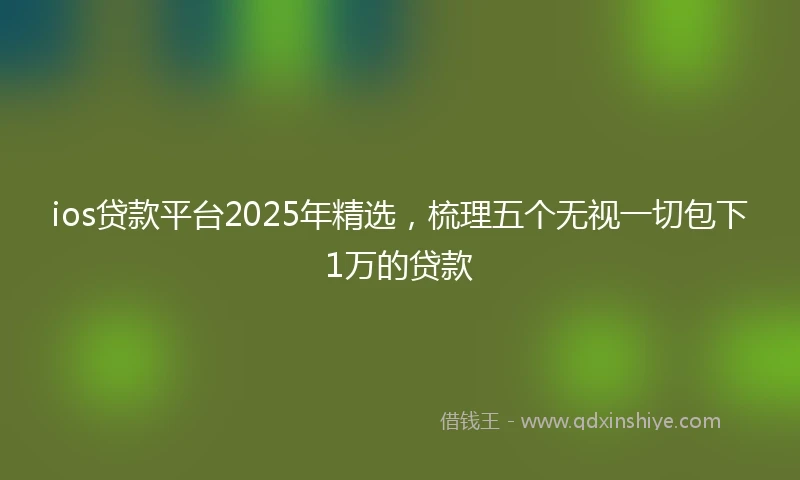 ios贷款平台2025年精选，梳理五个无视一切包下1万的贷款
