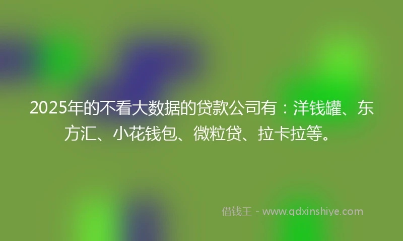 2025年的不看大数据的贷款公司有:洋钱罐、东方汇、小花钱包、微粒贷、拉卡拉等。