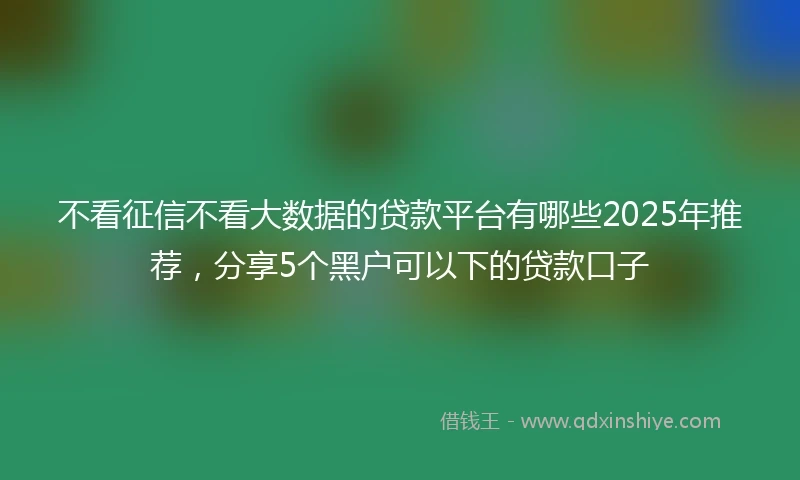 不看征信不看大数据的贷款平台有哪些2025年推荐，分享5个黑户可以下的贷款口子