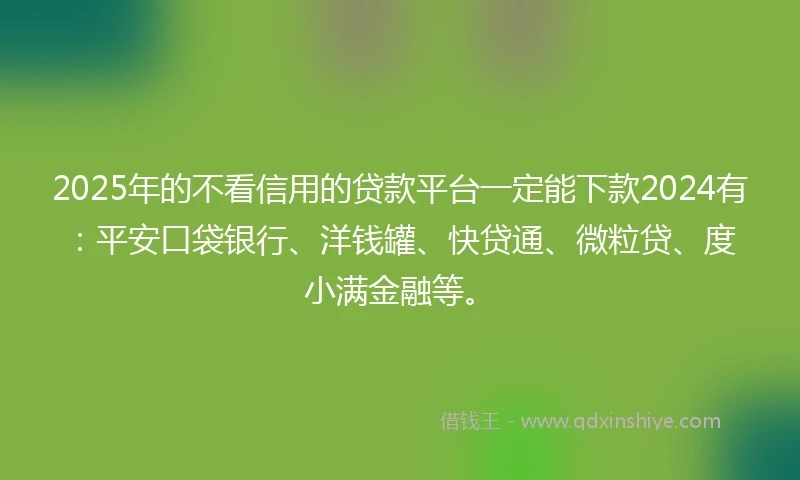 2025年的不看信用的贷款平台一定能下款2024有：平安口袋银行、洋钱罐、快贷通、微粒贷、度小满金融等。