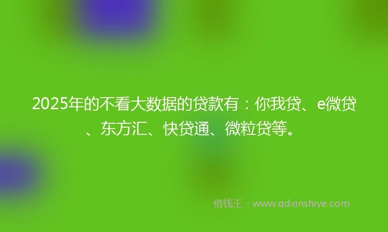 2025年的不看大数据的贷款有：你我贷、e微贷、东方汇、快贷通、微粒贷等。