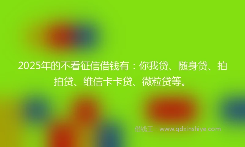 2025年的不看征信借钱有：你我贷、随身贷、拍拍贷、维信卡卡贷、微粒贷等。