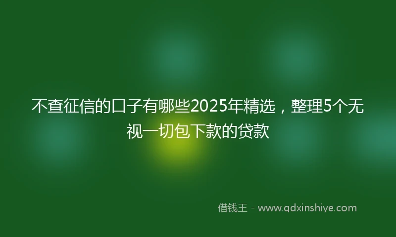不查征信的口子有哪些2025年精选，整理5个无视一切包下款的贷款