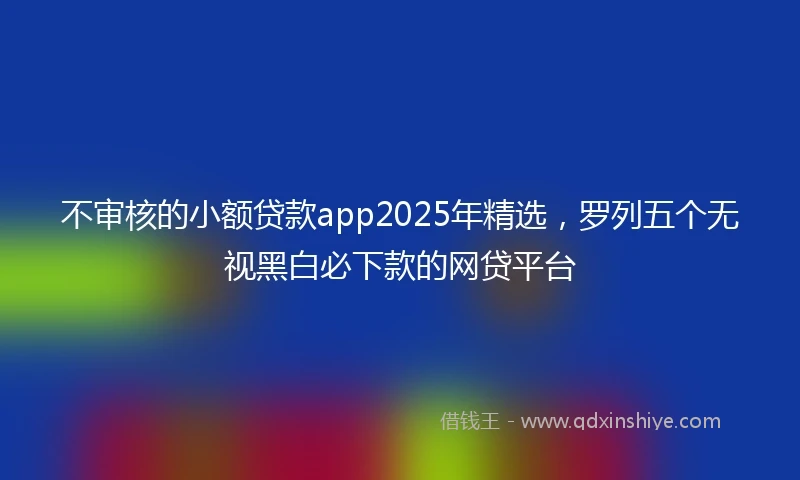 不审核的小额贷款app2025年精选，罗列五个无视黑白必下款的网贷平台