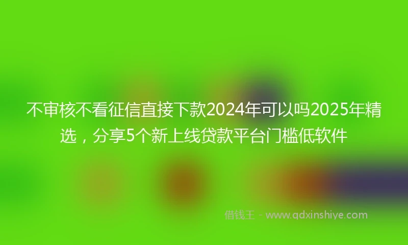 不审核不看征信直接下款2024年可以吗2025年精选，分享5个新上线贷款平台门槛低软件