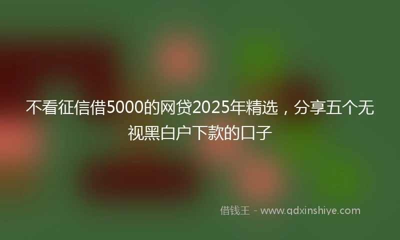 不看征信借5000的网贷2025年精选，分享五个无视黑白户下款的口子