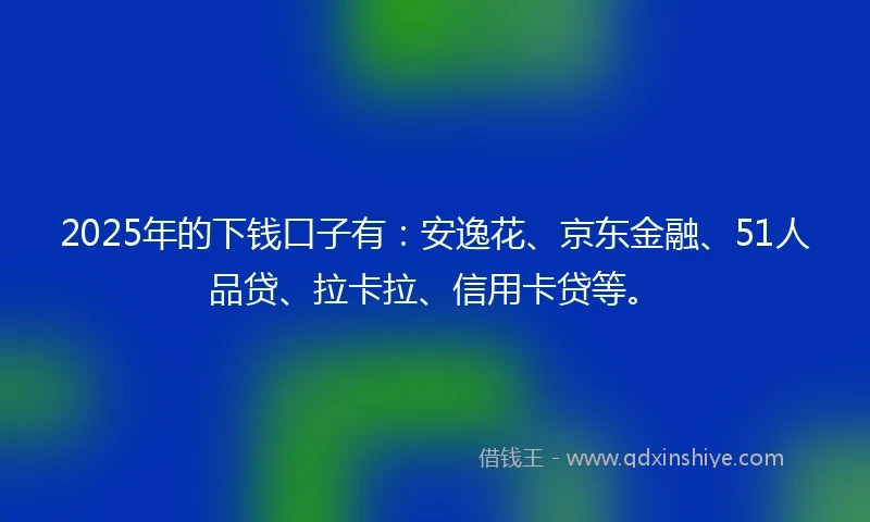 2025年的下钱口子有：安逸花、京东金融、51人品贷、拉卡拉、信用卡贷等。
