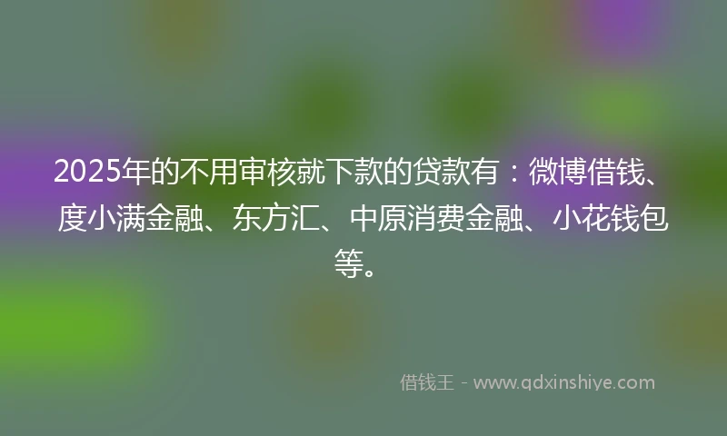 2025年的不用审核就下款的贷款有：微博借钱、度小满金融、东方汇、中原消费金融、小花钱包等。