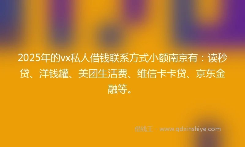 2025年的vx私人借钱联系方式小额南京有：读秒贷、洋钱罐、美团生活费、维信卡卡贷、京东金融等。