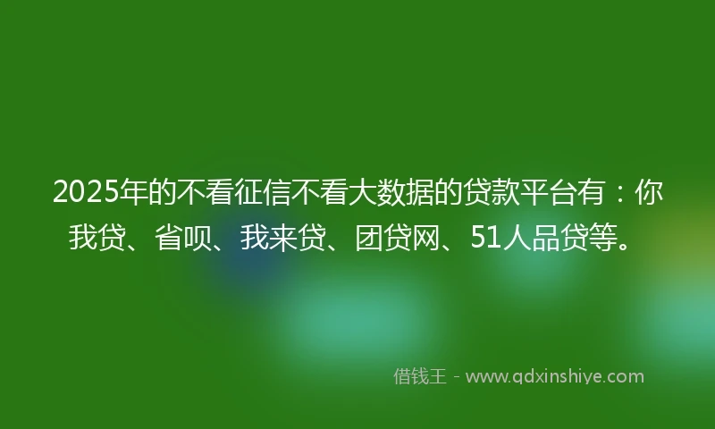 2025年的不看征信不看大数据的贷款平台有：你我贷、省呗、我来贷、团贷网、51人品贷等。