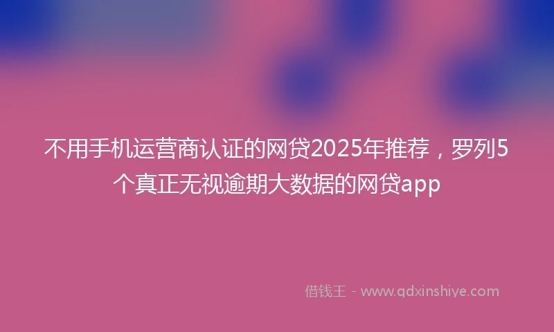 不用手机运营商认证的网贷2025年推荐，罗列5个真正无视逾期大数据的网贷app