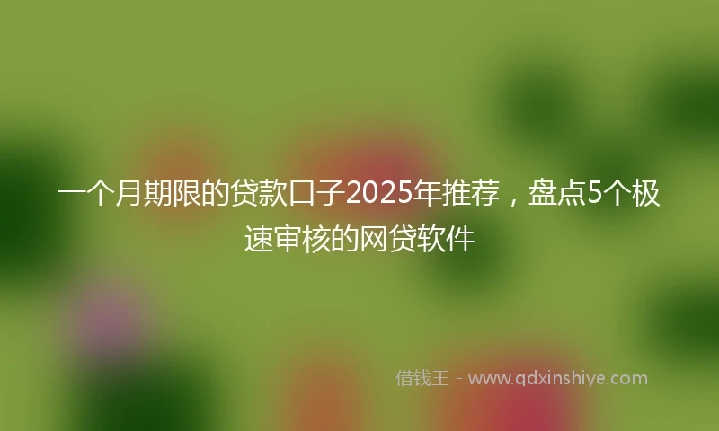一个月期限的贷款口子2025年推荐，盘点5个极速审核的网贷软件