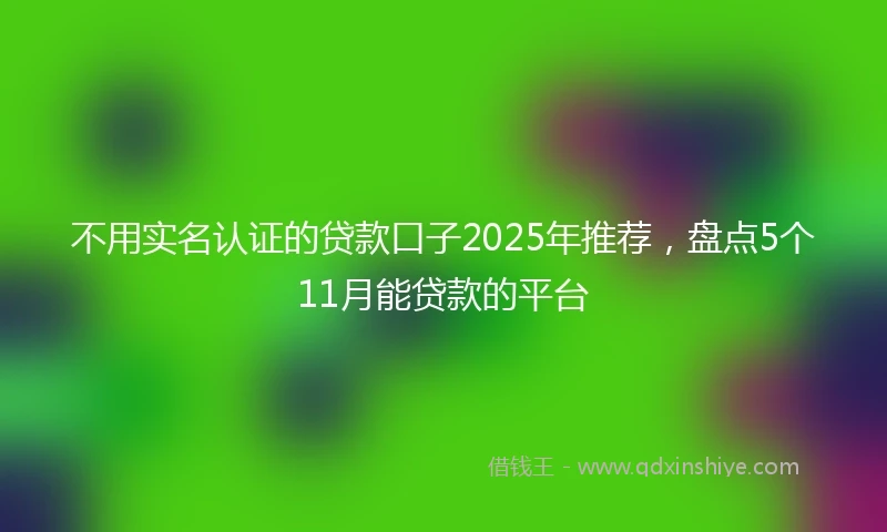 不用实名认证的贷款口子2025年推荐，盘点5个11月能贷款的平台