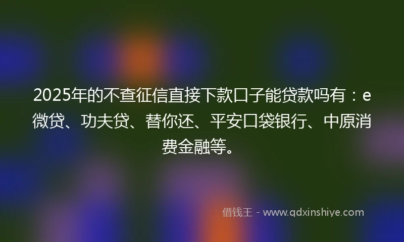 2025年的不查征信直接下款口子能贷款吗有：e微贷、功夫贷、替你还、平安口袋银行、中原消费金融等。