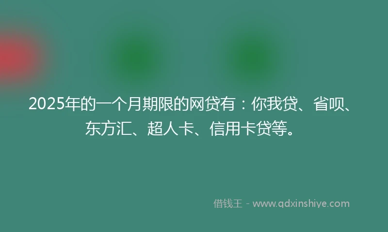 2025年的一个月期限的网贷有：你我贷、省呗、东方汇、超人卡、信用卡贷等。