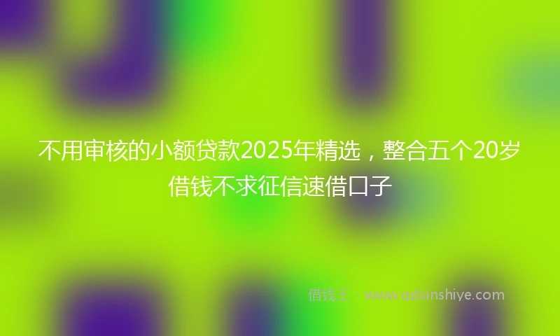 不用审核的小额贷款2025年精选，整合五个20岁借钱不求征信速借口子