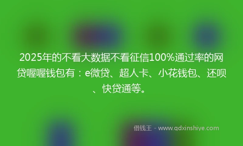 2025年的不看大数据不看征信100%通过率的网贷喔喔钱包有：e微贷、超人卡、小花钱包、还呗、快贷通等。