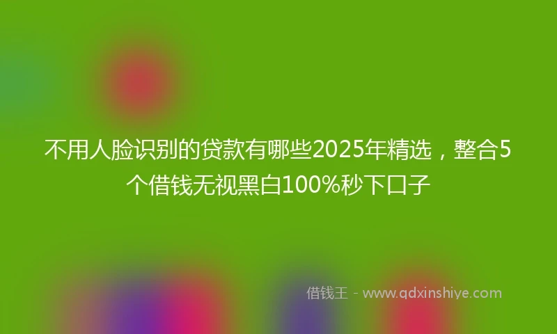 不用人脸识别的贷款有哪些2025年精选，整合5个借钱无视黑白100%秒下口子