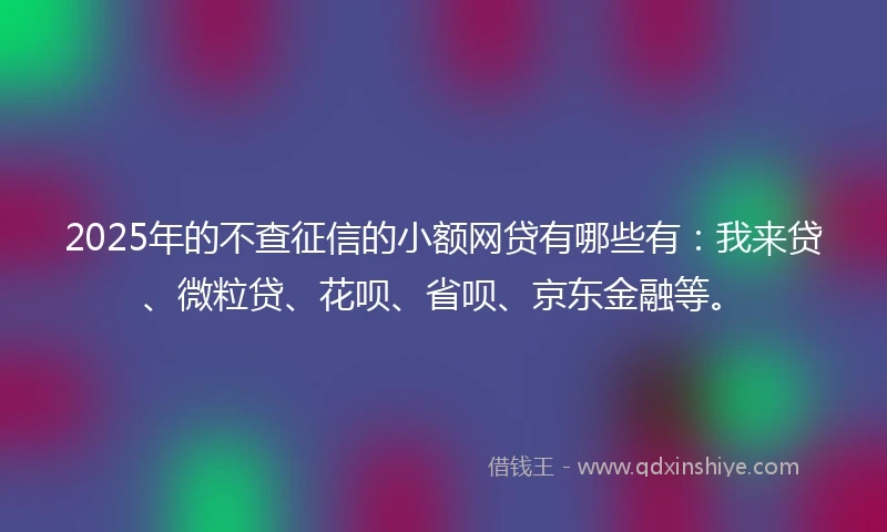 2025年的不查征信的小额网贷有哪些有：我来贷、微粒贷、花呗、省呗、京东金融等。