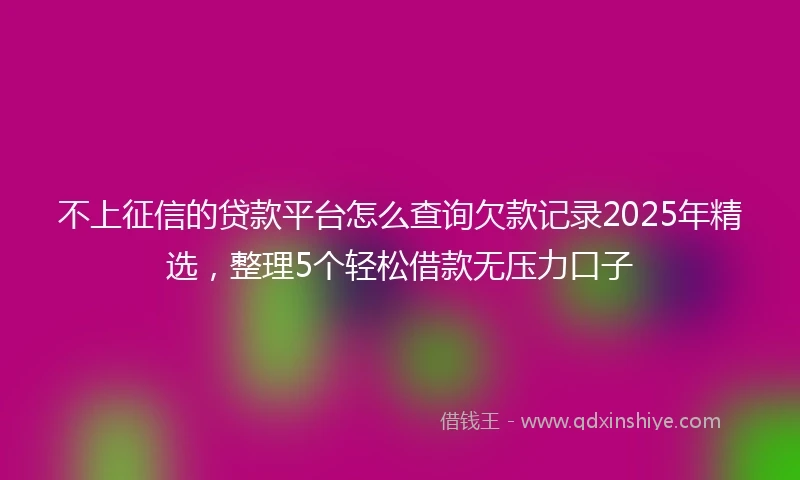 不上征信的贷款平台怎么查询欠款记录2025年精选，整理5个轻松借款无压力口子