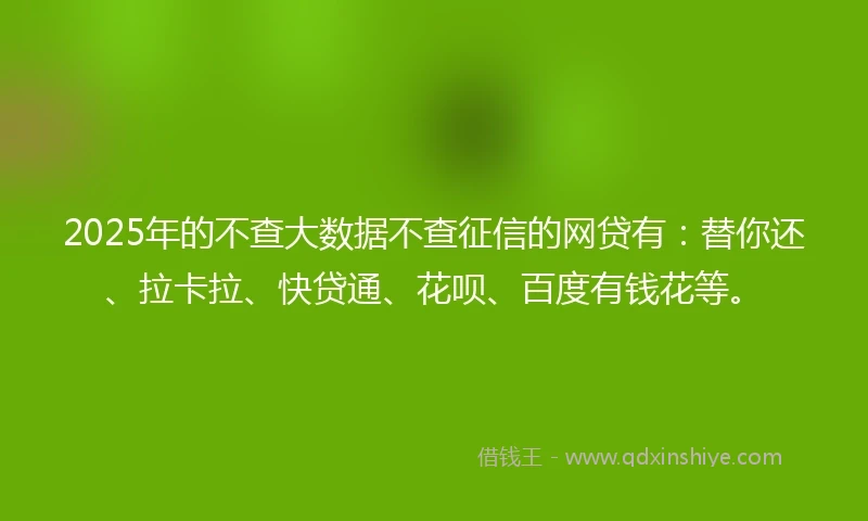 2025年的不查大数据不查征信的网贷有：替你还、拉卡拉、快贷通、花呗、百度有钱花等。
