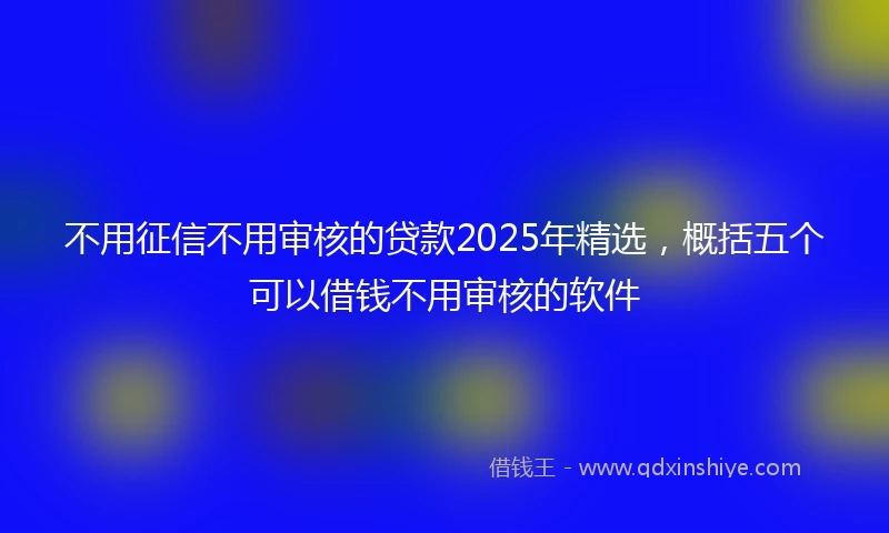 不用征信不用审核的贷款2025年精选，概括五个可以借钱不用审核的软件
